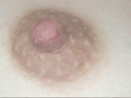 300人の乳首 3
