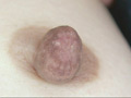 300人の乳首 3
