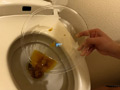 うんこを見せる女たち