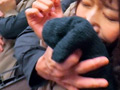 お姉ちゃんが媚○をキメられ墜とされるまでの記録