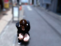【男の娘×肛門ローター挿入で都内連れ回し】