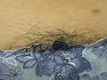 パンツの内側になりたい