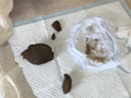 うんこのやま