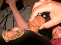 プライベートプレイ GOLD VOL.24 大量黄金完全完食24