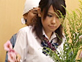 文化部女子痴○2