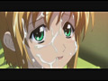 ぼくのぴこ シリーズぴこ1