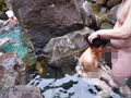 混浴温泉で乳吸い責めに欲情した女は中出しを拒めない2
