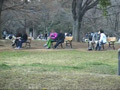 ○められたいゲイ「公園での○め」