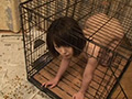 俺と彼女の飼育生活