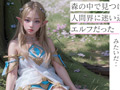 AI背徳エルフ 実世界に迷い込んだつるぺた妖精AINALIND