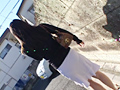 P-Line Collection