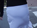P-Line Collection