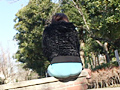 P-Line Collection