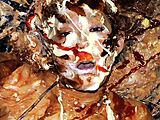 女顔汚染