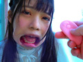 お嬢様は肉便器 生田りん