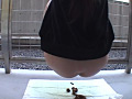 インテリ女子大生の変態臭色活動