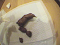 パイパンショップ店員の肉食系排泄