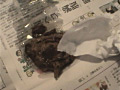 自画撮りうんこ日記 健康優良便BEST集3