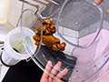 尻マゾ変質女の汚物循環スケベ穴