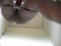 糞尿の実態3 トイレ編