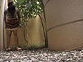 仮設トイレでおしっこうんこ