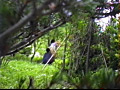 ○撮投稿プレミアムクラブ