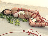 「蓬莱かすみ耽美の世界」 縄の絆 羅府編 第二章