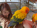 混浴気分vol.29 山ノ内ゆりと一緒に温泉旅を楽しもう！