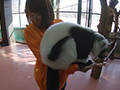 混浴気分vol.29 山ノ内ゆりと一緒に温泉旅を楽しもう！