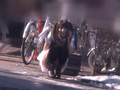 おっぴろげ羞恥ドライブで理性崩壊！／水野あやみ