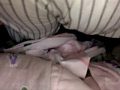 本物の○漢現場へ潜入 夏の番外編 完全素人の○撮映像