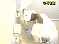 看護婦トイレ○撮 第1巻