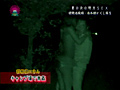 夏の夜の野外SEX！ 赤外線カメラでモロ見え盗●