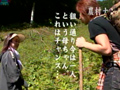 秋の農村ナンパ 母ちゃんや嫁と畑で裏山で青○しまくり