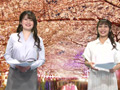 女子アナ桜を見る会！花よりチンコでイキまくり！