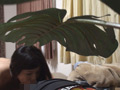 中年おやじが隠し撮りした人妻との秘め事 7
