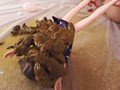 美少女排泄 塗糞人形2