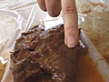 おもらしオナニー6 【おしっこ・おなら・うんち】