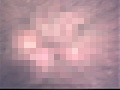恥じらいヌード 貴女のアナルのシワを数えてください！