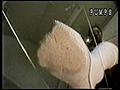 素足特集