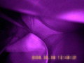 Q太郎の赤外線○漢○撮Vol.2