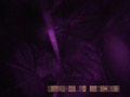 Q太郎の赤外線○漢○撮Vol.5
