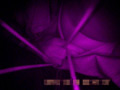 Q太郎の赤外線○漢○撮Vol.6