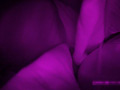 Q太郎の赤外線○漢○撮Vol.11