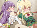つるぺた守護騎士 エルフィナ堕ちる ～後編～［田辺京］