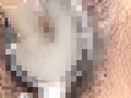 まんこ大研究 1