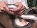 うなぎ○大研究 1