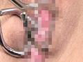 まんことにょうどう大研究