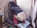 おもらし姫 二日目 小林かすみ