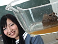 私立脱糞プレミア女学園